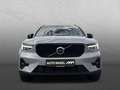 Volvo XC40 T5 Recharge Plus+AHK+360°Kamera+Licht Paket Argento - thumbnail 8