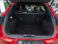 Ford Puma 1.0 EcoBoost Hybrid ST-Line X | First Edition | AC Rojo - thumbnail 16