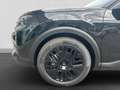 Citroen C4 Collection 1.2 Mild-Hybrid 145 EU6e Navi Digitales Schwarz - thumbnail 7