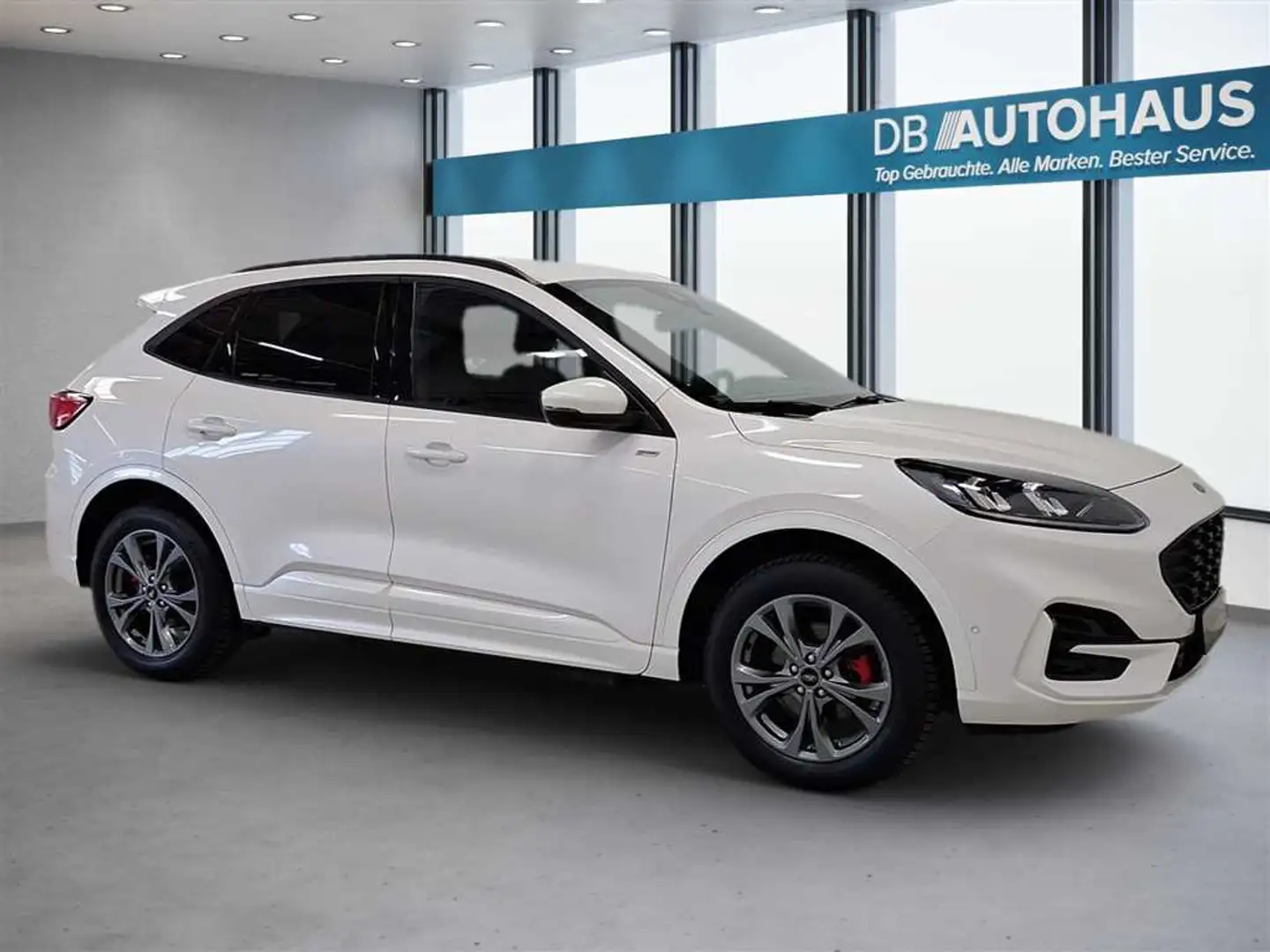 Ford Kuga ST-Line 2.5 DuraTec PHEV Weiß - 2