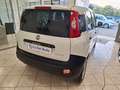 Fiat Panda Van 1.0 2 Posti Bianco - thumbnail 4