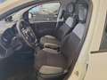 Fiat Panda Van 1.0 2 Posti Bianco - thumbnail 5