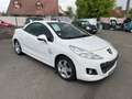 Renault Clio 1.5 DCI 70CH EXPRESSION Negro - thumbnail 11