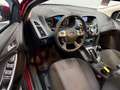 Ford Focus 1.6i Champions Edition 1erMain - Carnet Rouge - thumbnail 11
