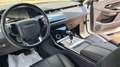 Land Rover Range Rover Evoque 2000 D EDITION 150 CV AUTOMATICO Bianco - thumbnail 8