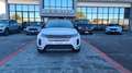 Land Rover Range Rover Evoque 2000 D EDITION 150 CV AUTOMATICO Bianco - thumbnail 1