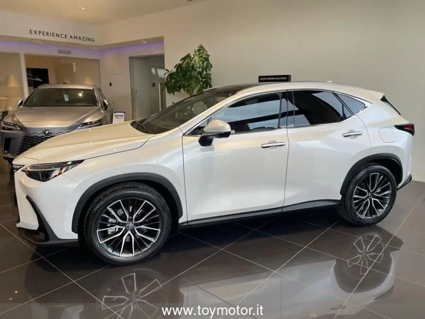 Lexus NX 300 2ª serie Plug-in 4WD Luxury Bianco - 2