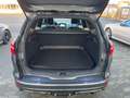Ford Focus Turnier 2.0 TDCi DPF ST-Line Navi SHZ Scheckheft Grau - thumbnail 24