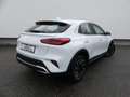Kia XCeed 1.5T Vision 140PS / ❗SONDERLEASING / ‼️PRIVAT‼️ Weiß - thumbnail 3