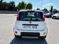 Fiat Panda 1.0 FireFly S&S Hybrid City Life Blanco - thumbnail 5