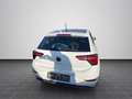 Volkswagen Polo 1,0 TSI DSG Style Lane Assist/LED/Sitzheizu Weiß - thumbnail 5
