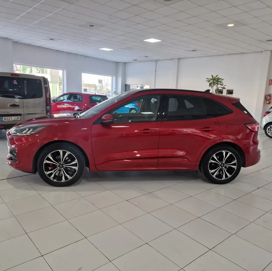 Ford Kuga 1.5 EcoBlue ST-Line FWD 120 Mauve - 2