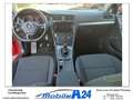 Volkswagen Golf 1.0 TSI Trendline  SITZHEIZG. Rood - thumbnail 11