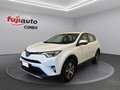 Toyota RAV 4 Rav4 2.0 d-4d Active 2wd mt Bianco - thumbnail 1