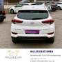 Hyundai TUCSON Tucson 1,7 CRDI Start-Stopp Go DCT*Servicegepfl... Weiß - thumbnail 8