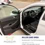 Hyundai TUCSON Tucson 1,7 CRDI Start-Stopp Go DCT*Servicegepfl... Weiß - thumbnail 11