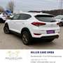 Hyundai TUCSON Tucson 1,7 CRDI Start-Stopp Go DCT*Servicegepfl... Weiß - thumbnail 6