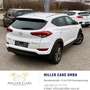 Hyundai TUCSON Tucson 1,7 CRDI Start-Stopp Go DCT*Servicegepfl... Weiß - thumbnail 4