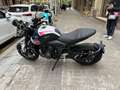 Triumph Trident 660 Edition 67 - thumbnail 2