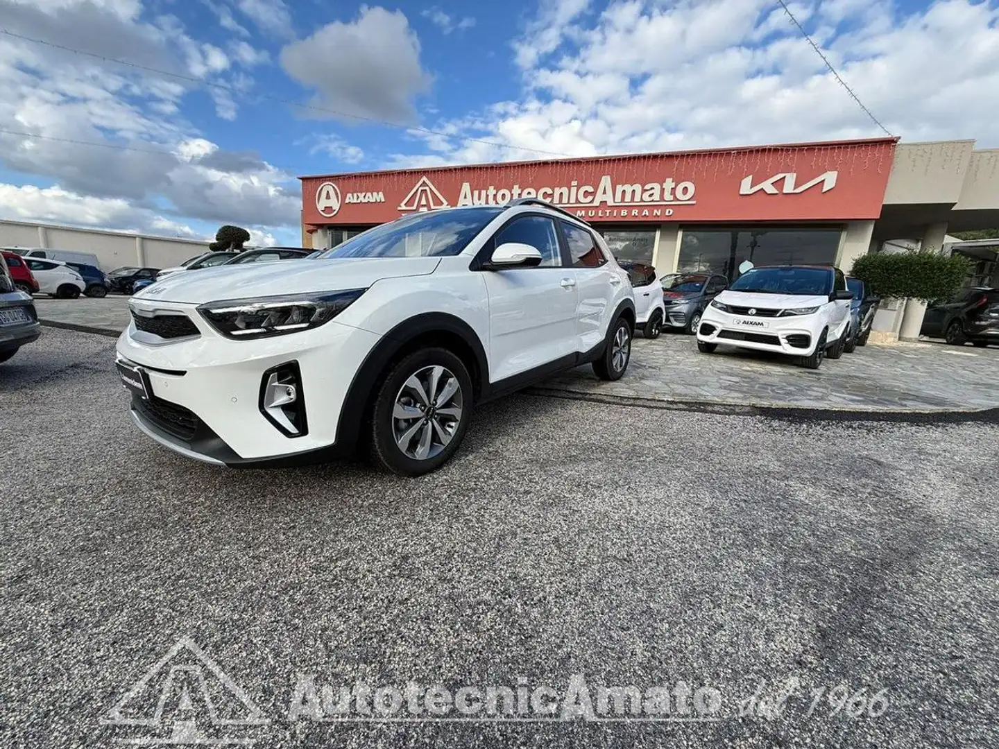 Kia Stonic 1.2 MPI Style Blanc - 2