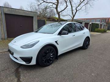 Model Y Performance