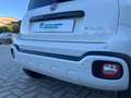 Fiat Panda Cross 1.0 FireFly S&S Hybrid Blanc - thumbnail 13