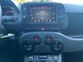 Fiat Panda Cross 1.0 FireFly S&S Hybrid Blanc - thumbnail 8