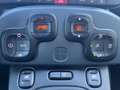 Fiat Panda Cross 1.0 FireFly S&S Hybrid Blanc - thumbnail 10