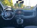 Fiat Panda Cross 1.0 FireFly S&S Hybrid Blanc - thumbnail 6
