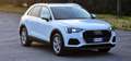 Audi Q3 Q3 35 2.0 tdi Business s-tronic Wit - thumbnail 16