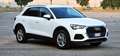 Audi Q3 Q3 35 2.0 tdi Business s-tronic Wit - thumbnail 12