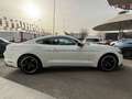 Ford Mustang Fastback 5.0 Ti-VCT GT Weiß - thumbnail 8
