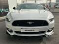 Ford Mustang Fastback 5.0 Ti-VCT GT Weiß - thumbnail 2