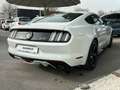 Ford Mustang Fastback 5.0 Ti-VCT GT Weiß - thumbnail 6