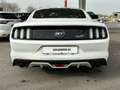 Ford Mustang Fastback 5.0 Ti-VCT GT Wit - thumbnail 5