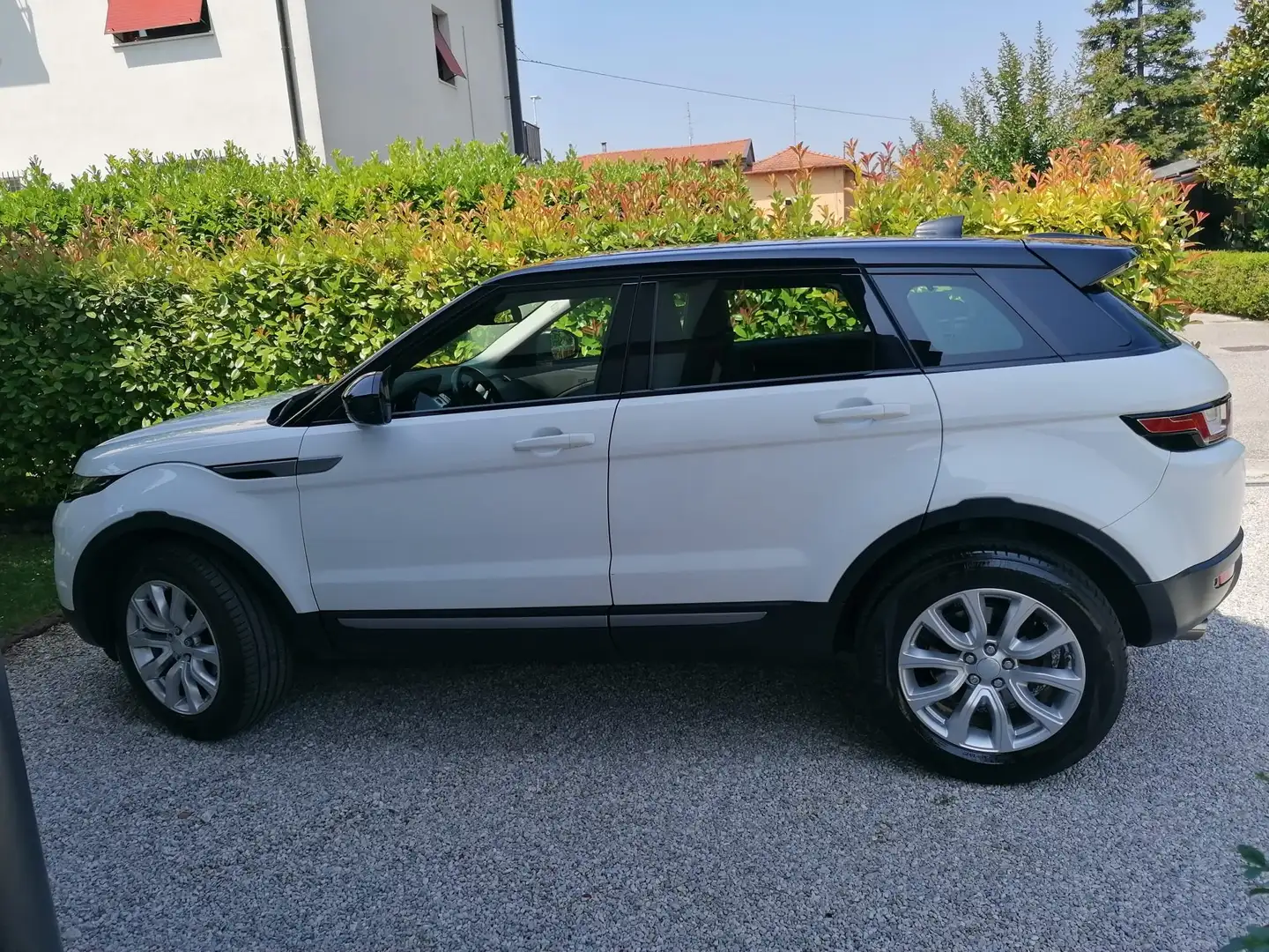 Land Rover Range Rover Evoque Range Rover Evoque 5p 2.0 ed4 Pure 150cv Bianco - 2