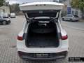 Mercedes-Benz EQS SUV EQS 580 4M SUV AMG+AIRMATIC+HA-LENK+BURMESTER+AH Weiß - thumbnail 16