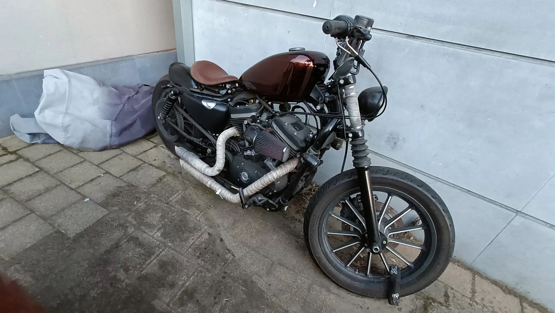 Harley-Davidson Sportster XL 883 Hnědá - 2
