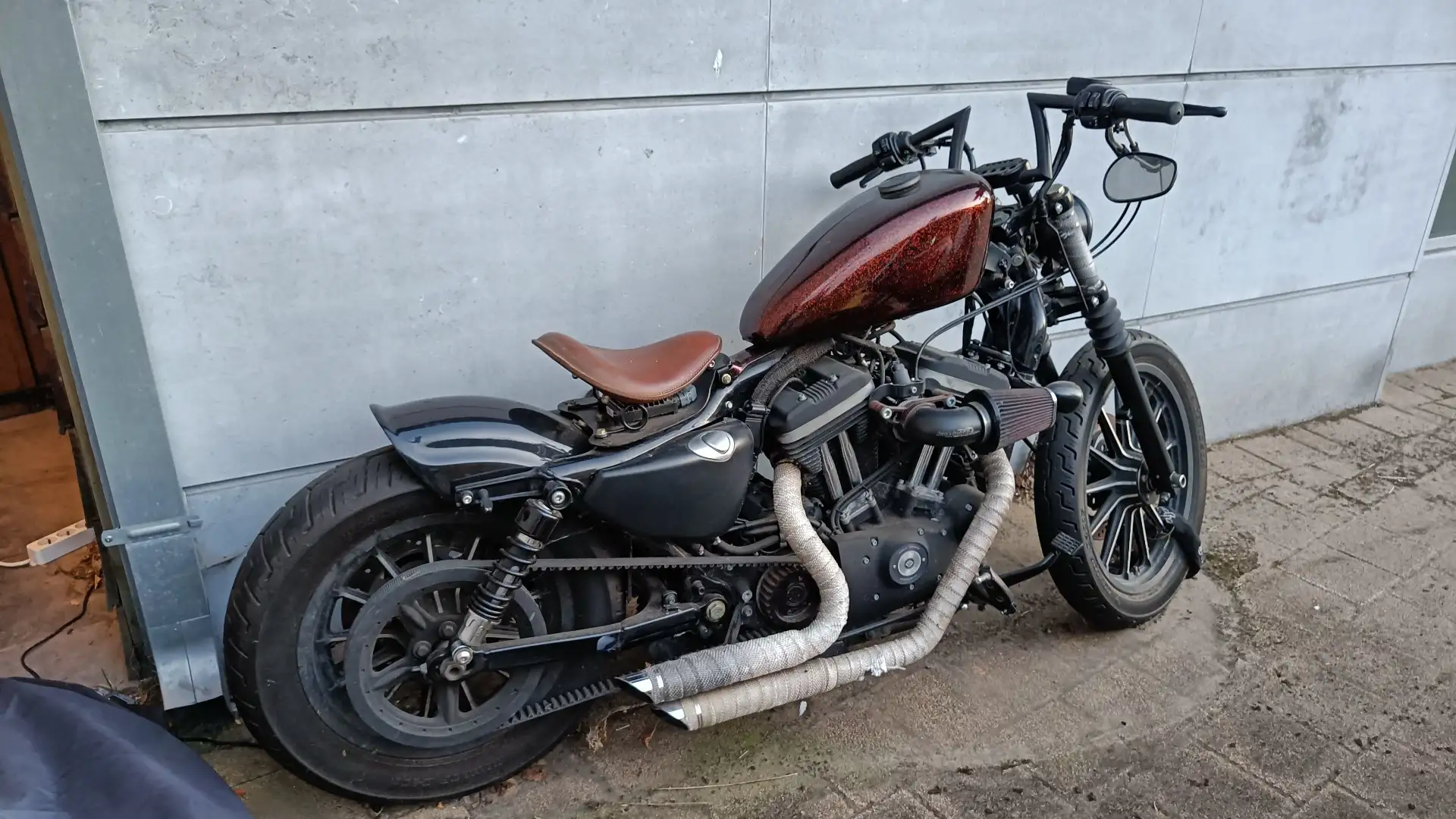 Harley-Davidson Sportster XL 883 Brązowy - 1