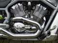 Harley-Davidson V-Rod VRSCA Grau - thumbnail 4