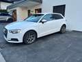 Audi A3 Sportback 1,6 TDI Weiß - thumbnail 2