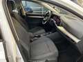 Volkswagen Golf Golf 1.5 TGI DSG Life Bianco - thumbnail 8