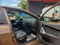 EVO EVO3 Evo 3 1.5 Gpl 113cv Braun - thumbnail 14