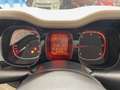 Fiat Panda 1.3 Mjt 75cv S&S 4x4 Beige - thumbnail 22