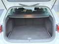 Volkswagen Golf Variant 1.6 TDI Highline LED, ACC, CARPLAY Wit - thumbnail 21