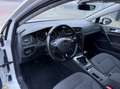 Volkswagen Golf Variant 1.6 TDI Highline LED, ACC, CARPLAY Wit - thumbnail 9