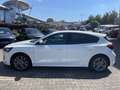 Ford Focus 1.0 EcoBoost Hybrid ST-LINE STYLE Bianco - thumbnail 6