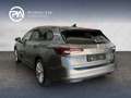 Skoda Superb 4x4 Selection TDI DSG Grau - thumbnail 4