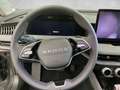 Skoda Superb 4x4 Selection TDI DSG Grau - thumbnail 13