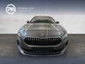 Skoda Superb 4x4 Selection TDI DSG Grau - thumbnail 5